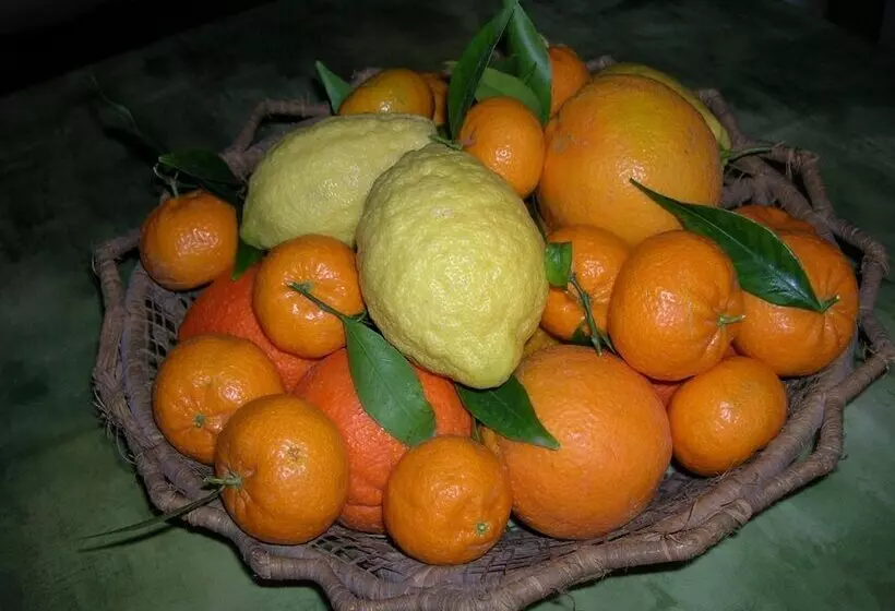 Agriturismo Baglio Donna Santa