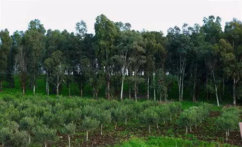 Agriturismo Valle Benuara