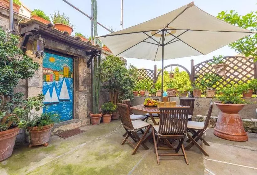 مبيت وإفطار Orchid Corner Guesthouse