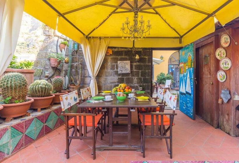 צימר Orchid Corner Guesthouse