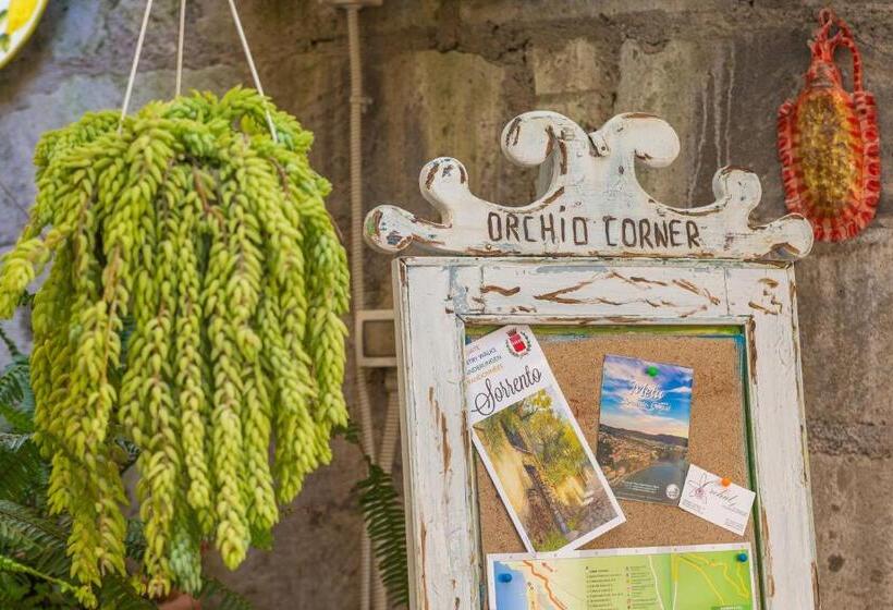 צימר Orchid Corner Guesthouse