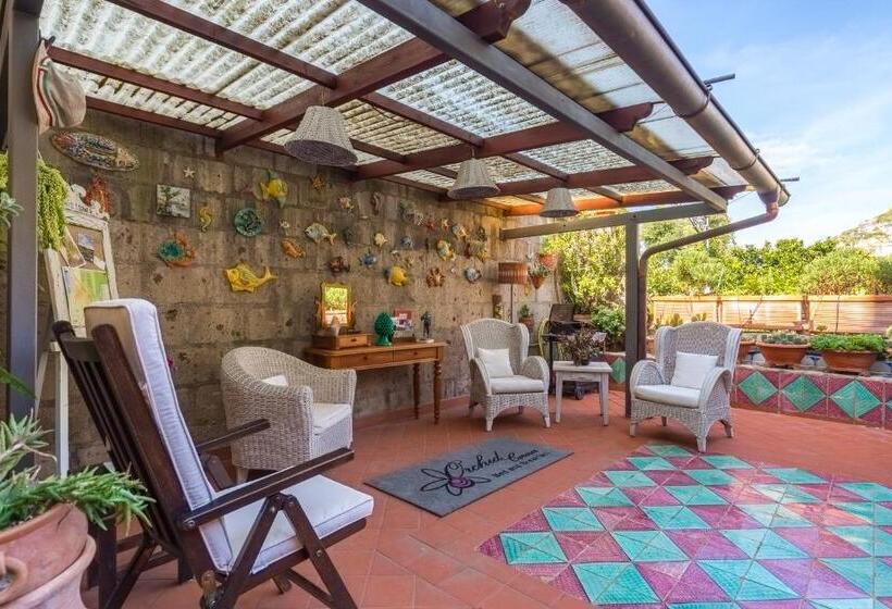 צימר Orchid Corner Guesthouse