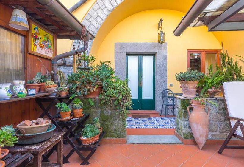 צימר Orchid Corner Guesthouse