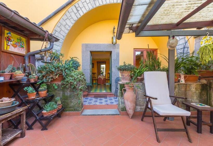 צימר Orchid Corner Guesthouse