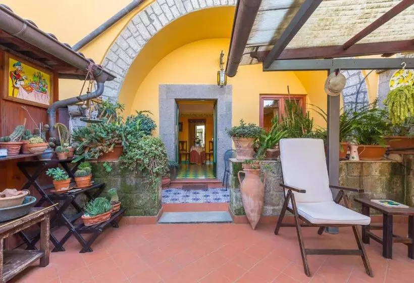 مبيت وإفطار Orchid Corner Guesthouse