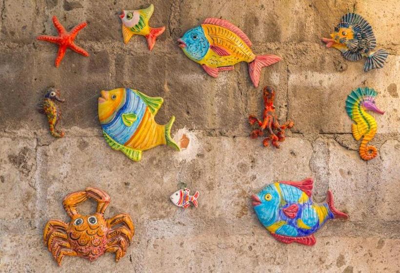 צימר Orchid Corner Guesthouse