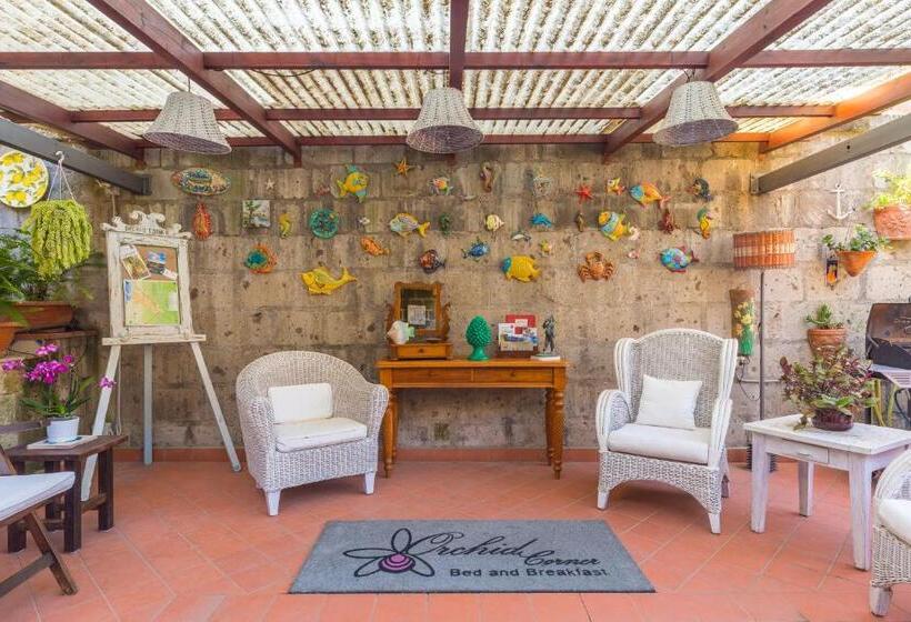 צימר Orchid Corner Guesthouse