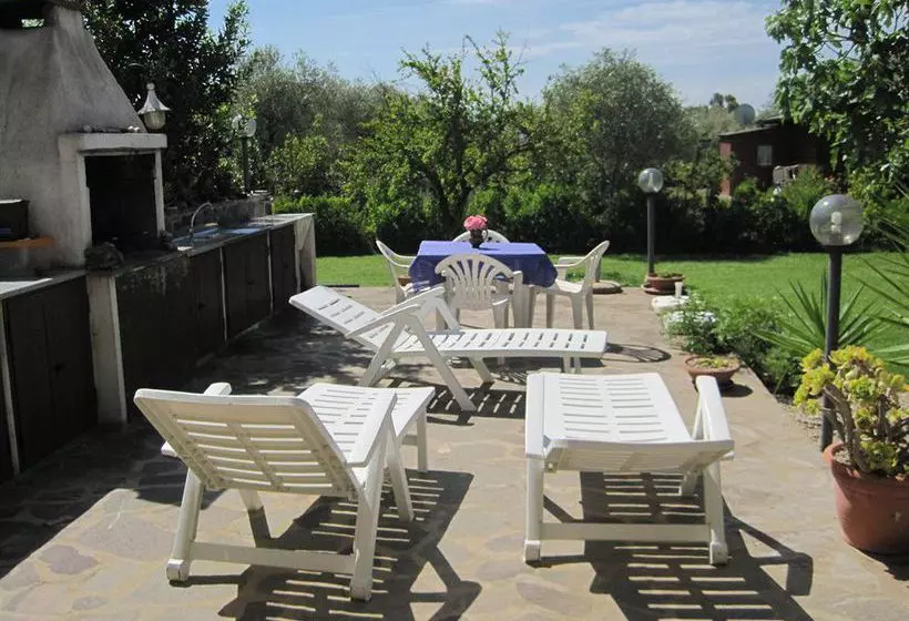 Bed & Breakfast Las Rosas