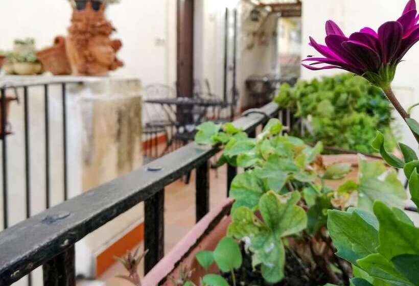 בית מלון כפרי Casa Mia