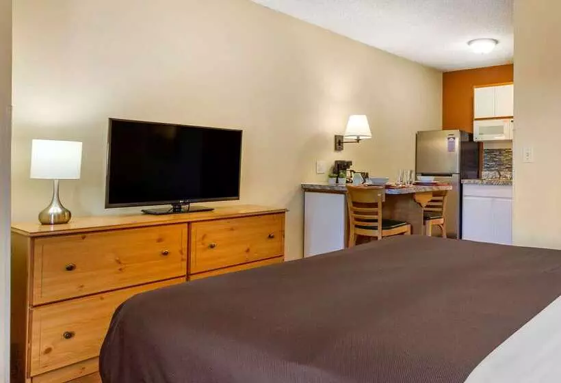 בית מלון כפרי Suburban Studios