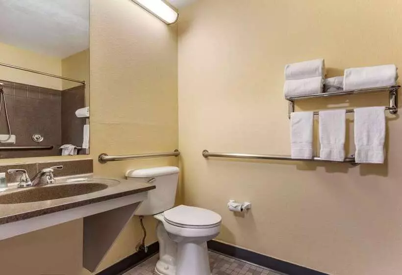 בית מלון כפרי Suburban Studios