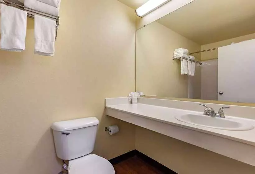 בית מלון כפרי Suburban Studios