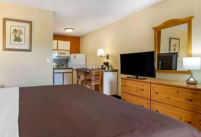 בית מלון כפרי Suburban Studios