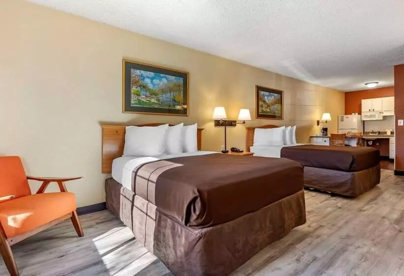 בית מלון כפרי Suburban Studios