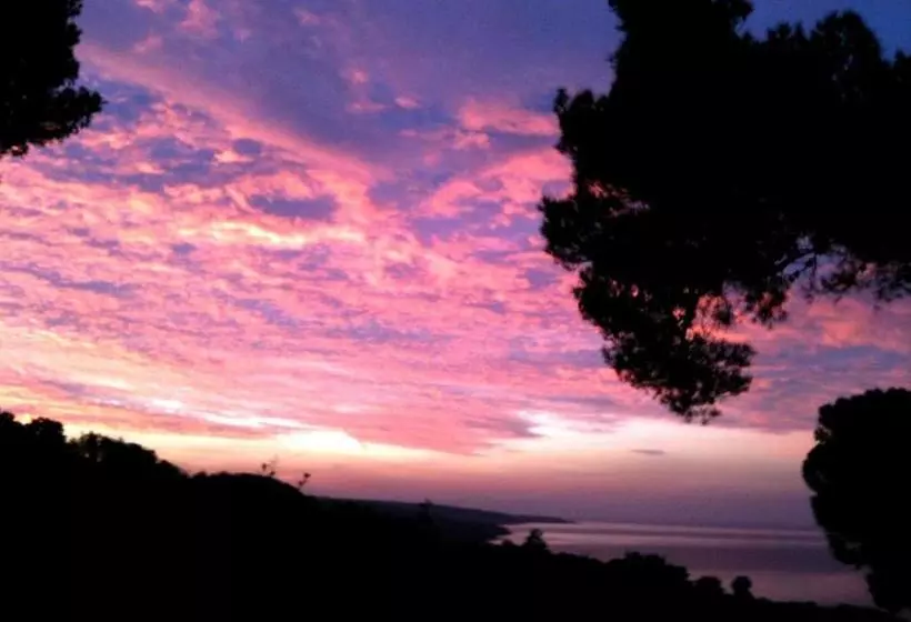 La Casa Di Ulisse B&b