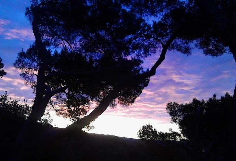 La Casa Di Ulisse B&b