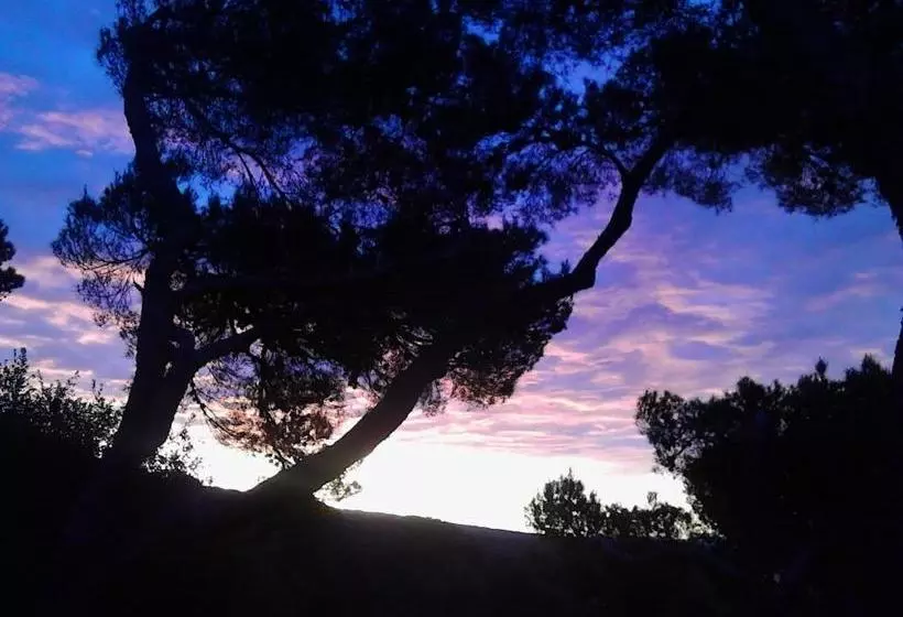 La Casa Di Ulisse B&b