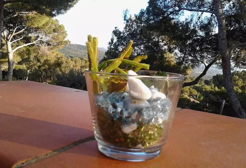 La Casa Di Ulisse B&b