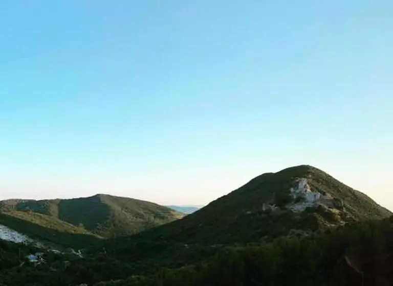 Student S Hostel Gowett