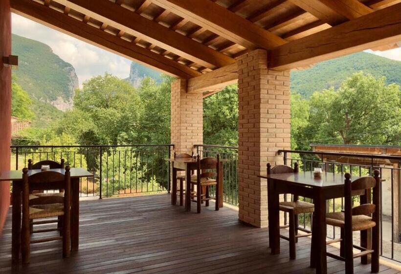 פנסיון Djenga Rock N Rooms