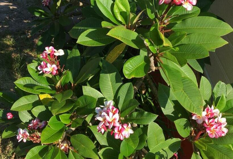 پانسیون Ikokujyoucho Vacation Stay 35774v