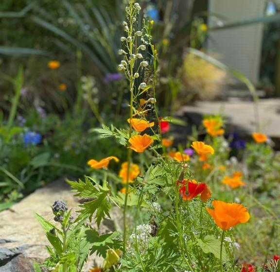 بنسيون The Willow Guest Suite