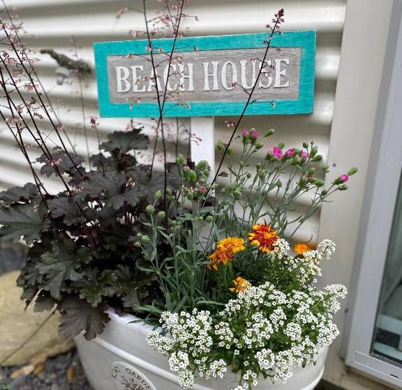 بنسيون The Willow Guest Suite