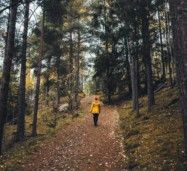 ペンション Vollsnes Gjestehus