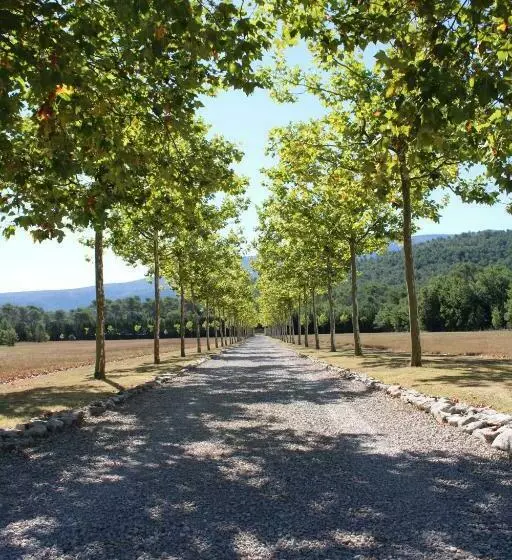 تختخواب و صبحانه Domaine De La Citerne