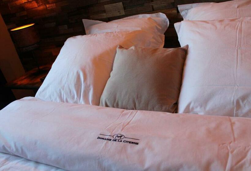 مبيت وإفطار Domaine De La Citerne