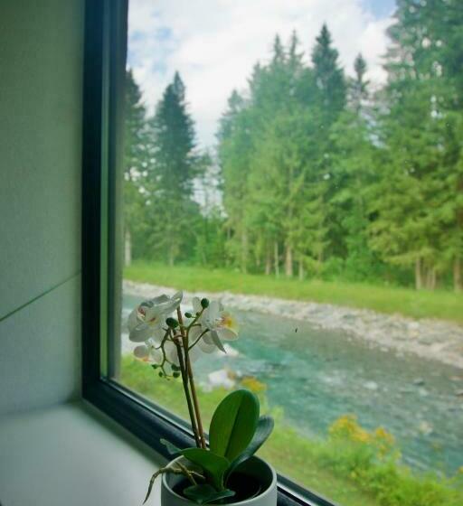 Mountain Hostel City