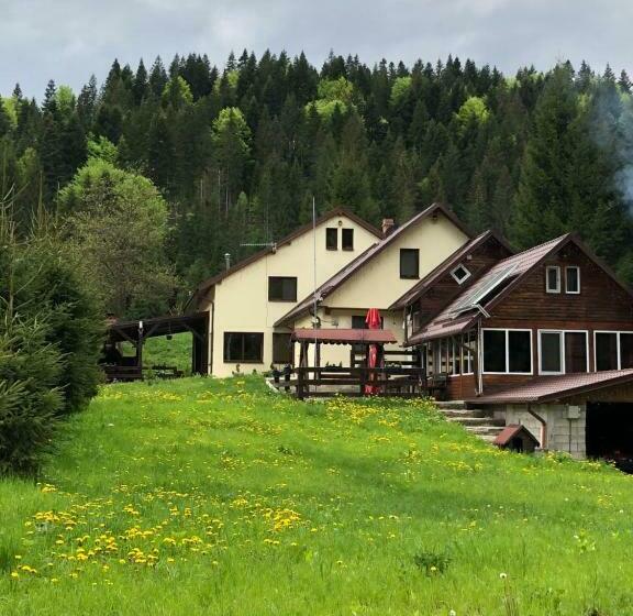 Pensiunea Zorile Tarcaului