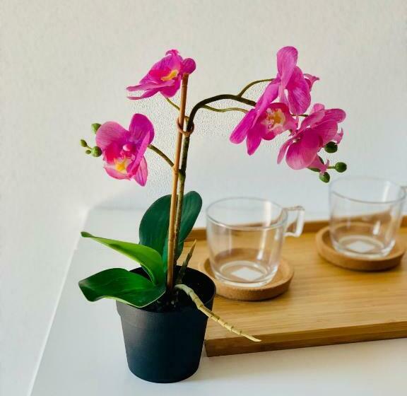 ペンション La Stanza Dei Desideri