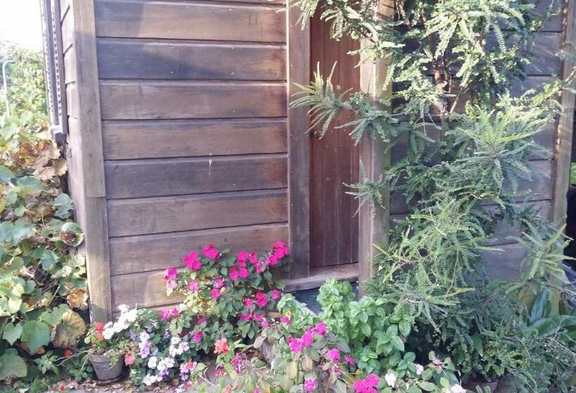 ペンション The Whare Rural Retreat