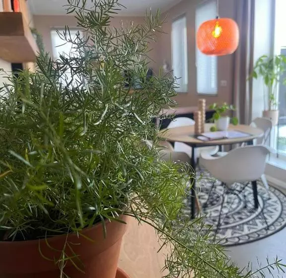 B&b De Terpen