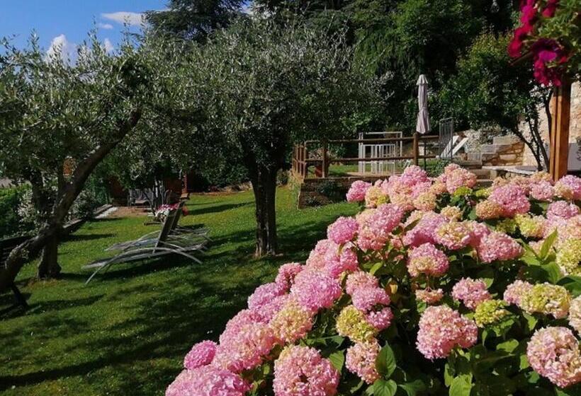 住宿加早餐 Beb Da Paolo Con Vista Lago