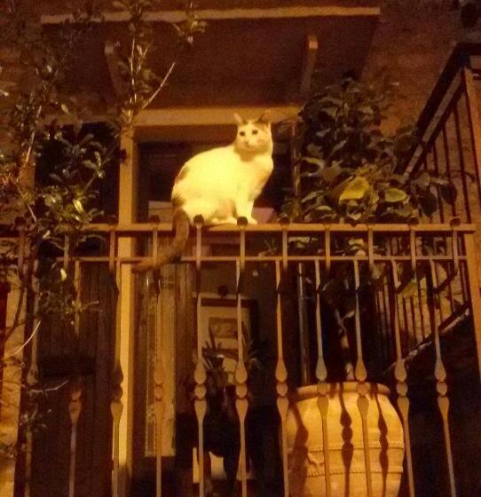 住宿加早餐 Beb Da Paolo Con Vista Lago