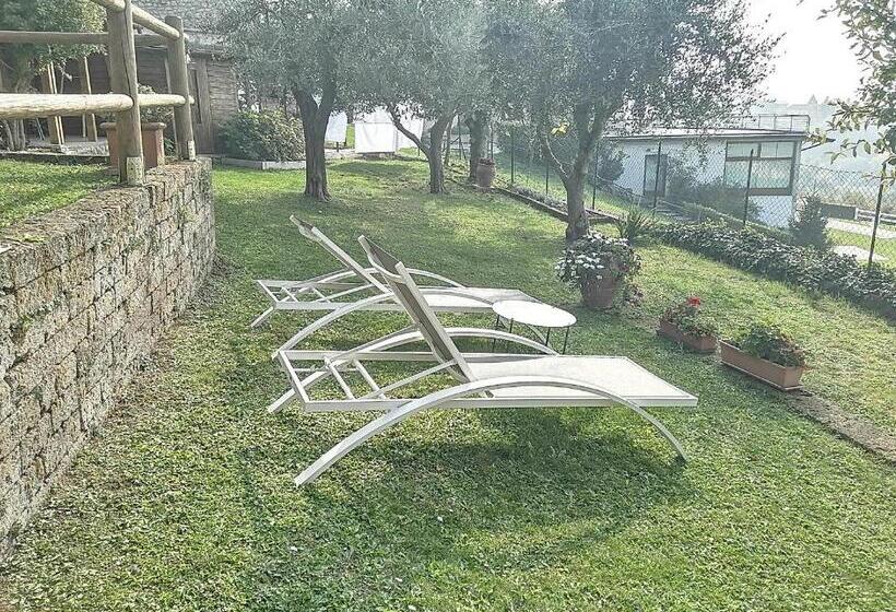 住宿加早餐 Beb Da Paolo Con Vista Lago