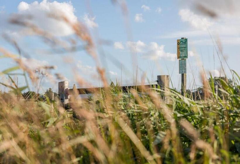 צימר De Meisjes Trekkershut