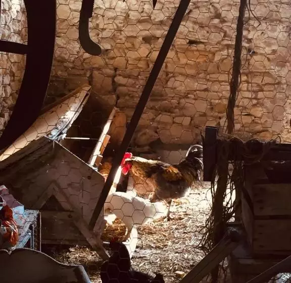 Aamiaismajoitus (B&B) Ferme St Pierre Gîte Autonome 2 4 Personnes