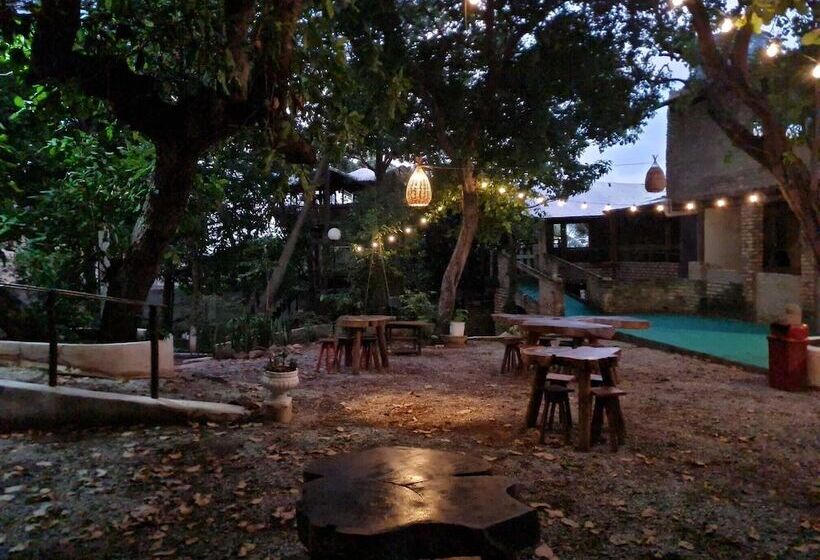 ベッドアンドブレックファースト Pousada Bodega Da Terra