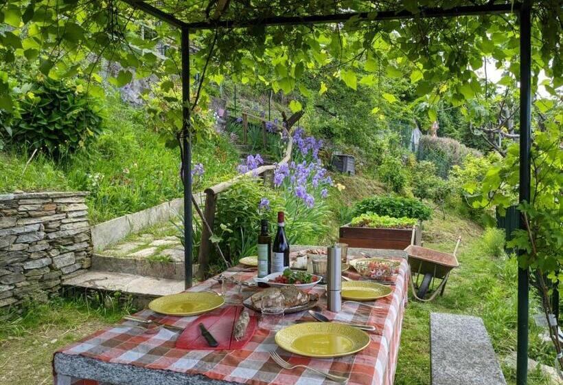 ベッドアンドブレックファースト Ratto Del Gallo