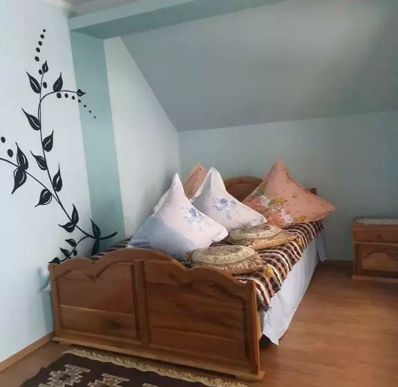 پانسیون Casa I G Prindii