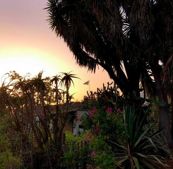 بنسيون El Oasis