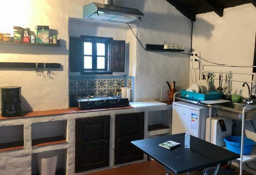 بنسيون El Oasis