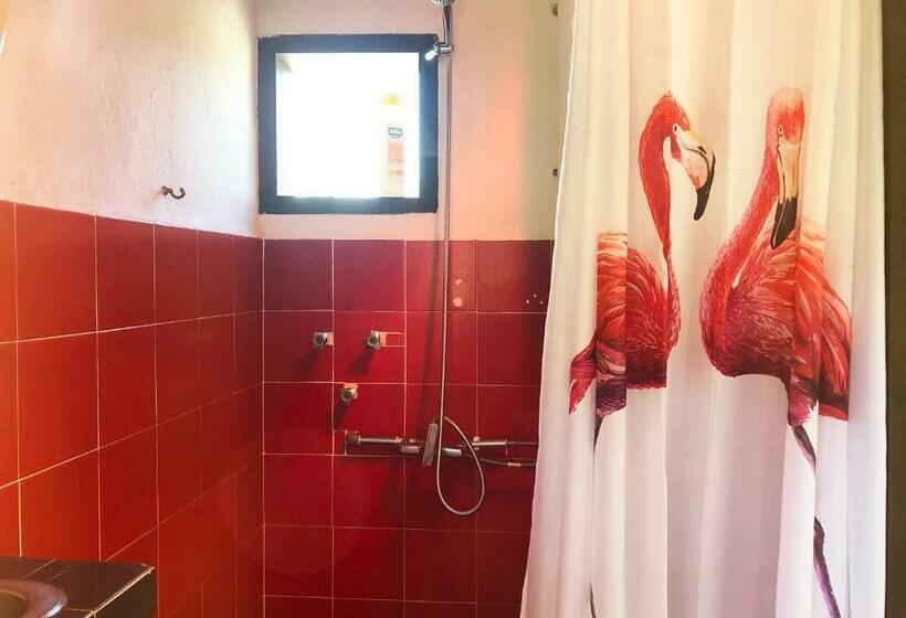 بنسيون El Oasis