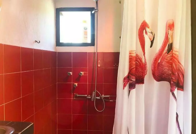 Pension El Oasis