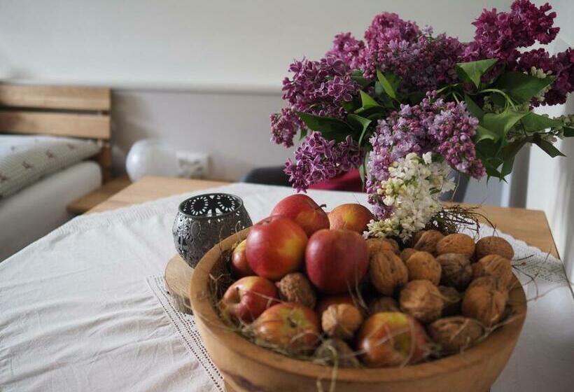 פנסיון Gästehaus Hechenblaikner