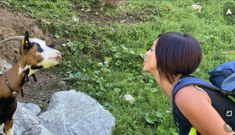 פנסיון Gästehaus Hechenblaikner