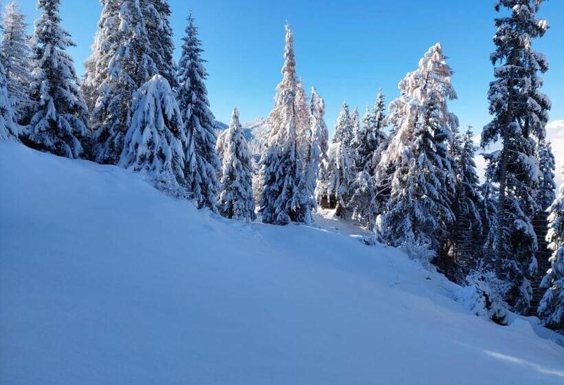 פנסיון Gästehaus Hechenblaikner